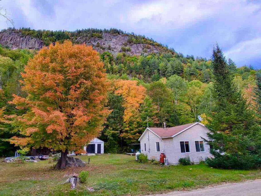 Chalet Falaise By Chalets Nabu Βίλα Saint-Alexis-des-Monts Εξωτερικό φωτογραφία